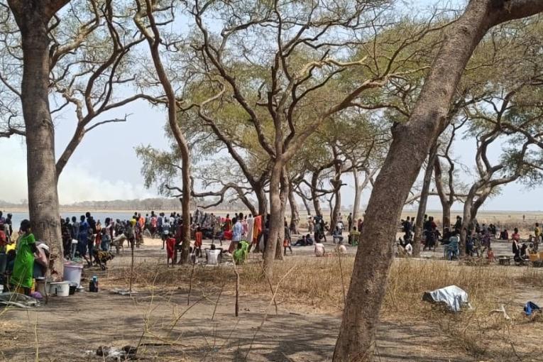 Soudan du Sud : MSF alerte sur les conditions dramatiques des déplacés à Nyatim et demande l’ouverture urgente d’un accès humanitaire 