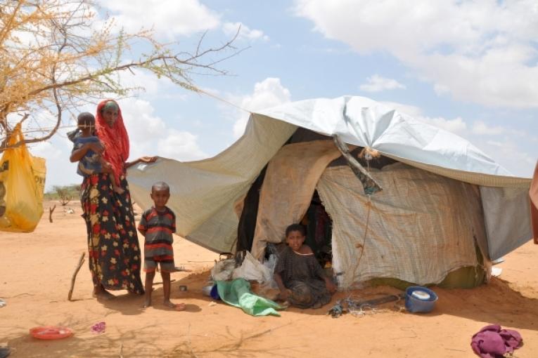 Dans le désert au nord est du Kenya les nouveaux réfugiés arrivés de Somalie vivent dans des abris précaires faits de bâtons de cordes et de bâches en plastique.  Nenna Arnold /MSF
