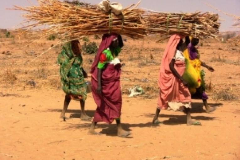 Femmes à l'extérieur du camp de Kalma  Février 2008