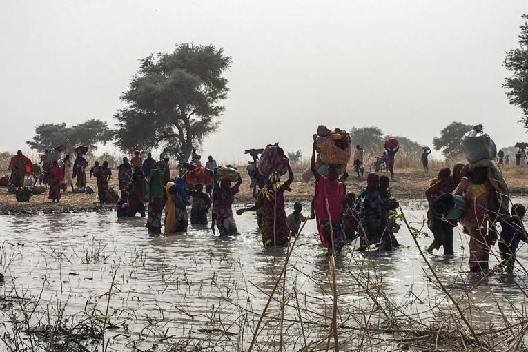 Près de 8 000 personne ont fui la ville de Rann dans le nord-est du Nigeria pour trouver refuge dans la ville de Bodo au Cameroun. Le 15 janvier une équipe médicale MSF est arrivée à Bodo. Les personnes sur place étaient majoritairement des femmes et des enfants selon leurs estimations. Environ 1 200 personnes sont parvenues à s'installer dans les terres tandis que 7 000 sont restées au bord la rivière qui sépare le Nigeria du Cameroun. Les communautés locales s'organisent pour aider les déplacés et leur fo