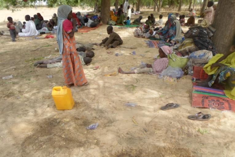 Déplacés sous les arbres camp de FTC Maiduguri mars 2015