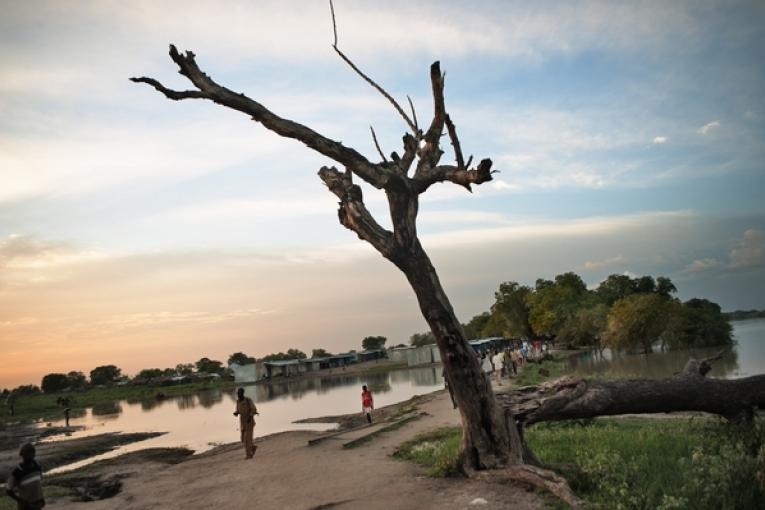 Après les violences qui ont éclaté dans le nord de l’État du Jonglei au Soudan du Sud le 11 janvier MSF a référé par avion 13 patients grièvement blessés de la clinique MSF de Yuai.