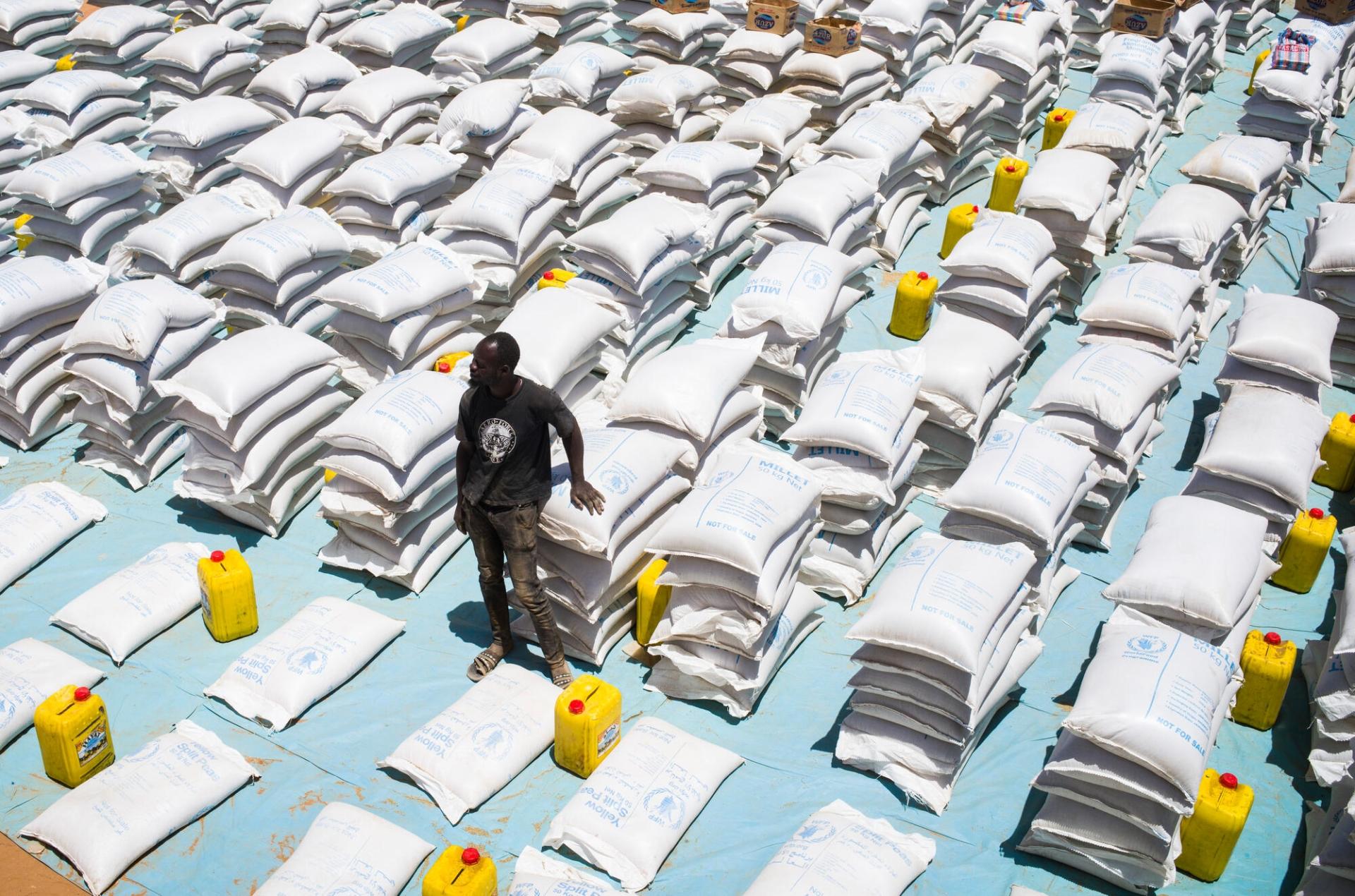 « Il n’y a aucune possibilité de retourner au Soudan cette fois »