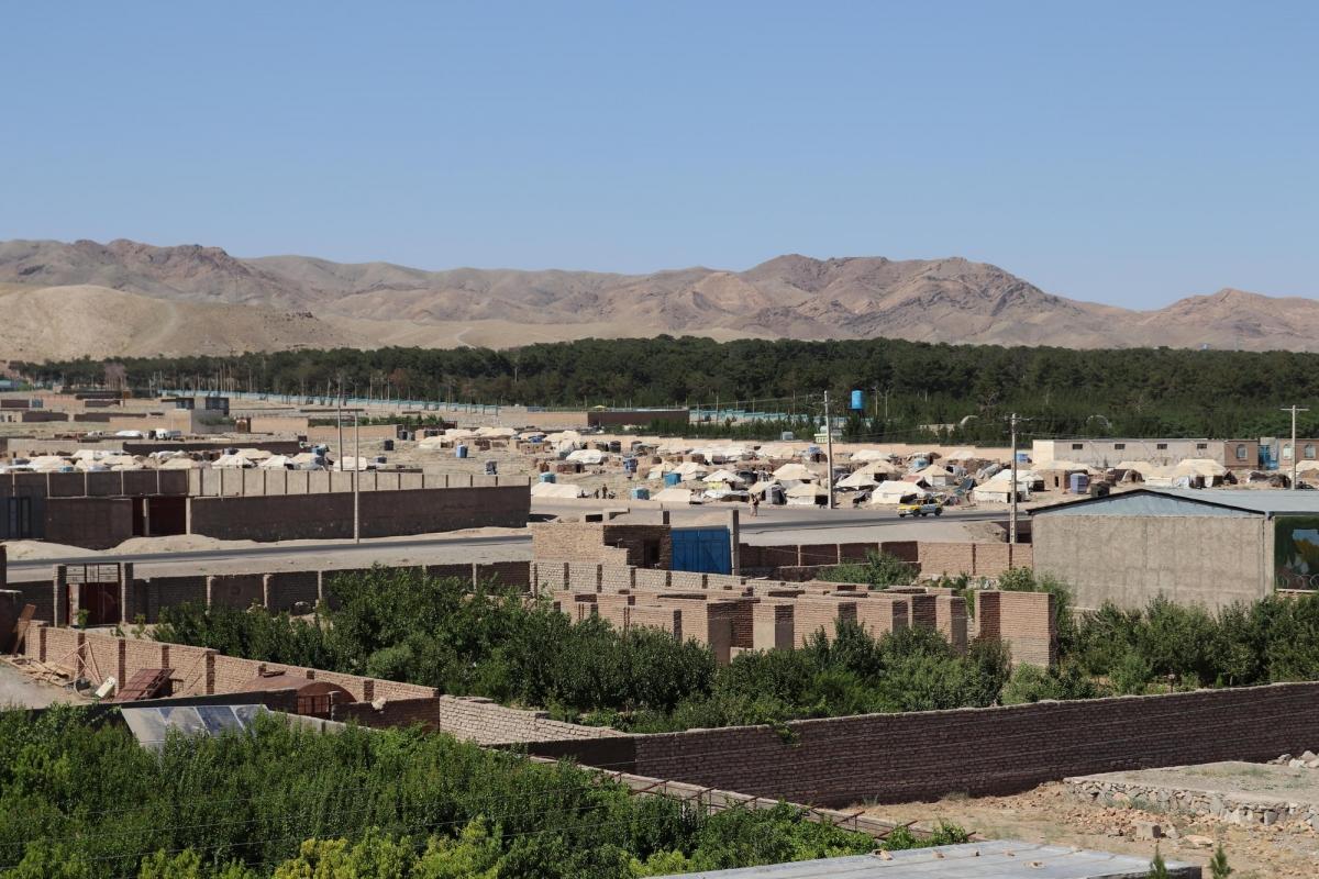 Les camps de personnes déplacées, dans la banlieue de la ville de Herat. 
 © Noor Ahmad Saleem/MSF