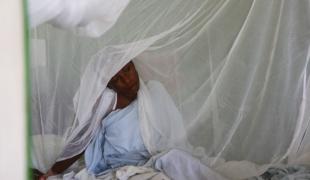 Tristan Pfund /MSF
Hôpital Chancerelle : cet hôpital de référence pour les soins gynécologiques et obstétriques est également utilisé pour les soins traumatiques.