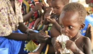 Un CRENI (centre de réhabilitation et d\'éducation nutritionnelle intensive) au Niger  Juillet 2010
