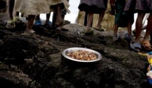 RD Congo Nord Kivu novembre 2009.