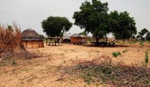 Region de Zinder : l\'équipe MSF est partie de Magaria pour visiter Bakadougou l\'un des 85 villages de l\'aire de santé de Dan Tchiao.
 Claude Mahoudeau / MSF