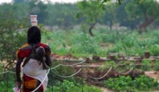 Distribution d\'aliments supplémentaires prêts à l\'emploi par MSF et Forsani  District de Madarounfa région de Maradi juillet 2010
