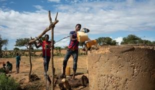 Exploration in Southern Madagascar