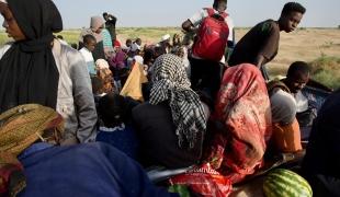 Arrival of displaced civilians from besieged El-Fasher at the checkpoint at the entrance of Tawila