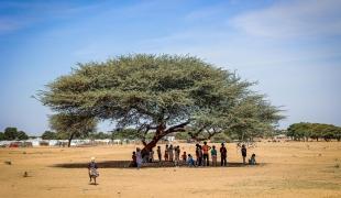Des réfugiés soudanais de la ville d'El Fasher, Tchad décembre 2025