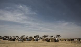 Plus de 240 000 personnes déplacées et réfugiées vivent actuellement dans la région de Diffa au sud est du Niger. Leurs vies ont été bouleversées par le conflit entre Boko Haram et les armées de la région qui a déplacé plus de 2 6 millions 