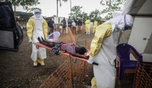 Activités de lutte contre l'Ebola en Sierra Leone.