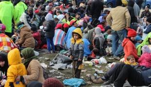 Des milliers de personnes entrent en Slovénie chaque jour par différents endroits le long de la frontière avec la Croatie.