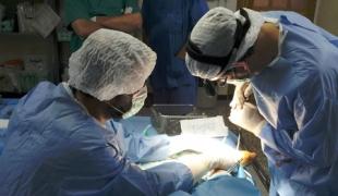 Syrie  Hôpital MSF. Septembre 2012