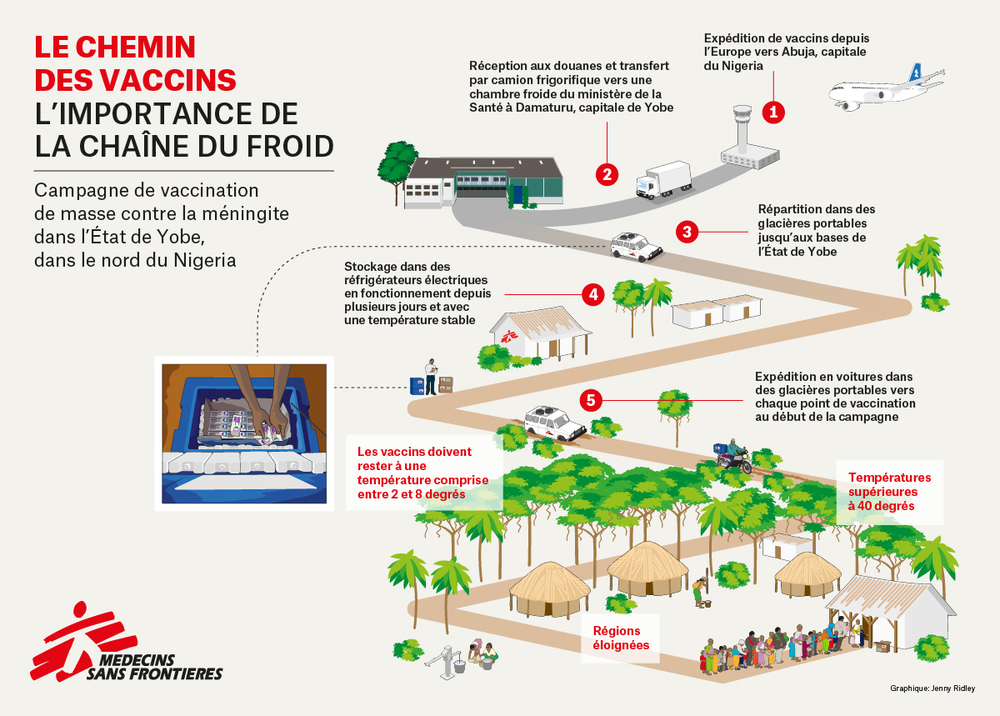Infographie : la chaine de froid lors d’une vaccination contre la méningite au Niger et Nigeria, en juin